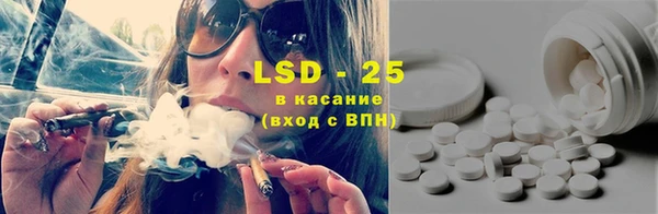 дурь Вяземский