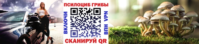Галлюциногенные грибы прущие грибы  Купить закладки  Борзя 